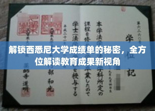 解锁西悉尼大学成绩单的秘密，全方位解读教育成果新视角