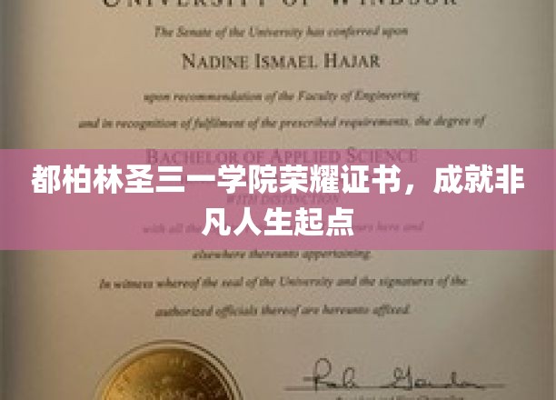 开启非凡人生之旅，都柏林圣三一学院荣耀证书背后的传奇故事