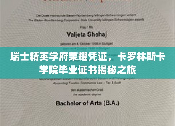 解锁瑞士顶级学府荣誉，卡罗林斯卡学院毕业证书背后的传奇故事