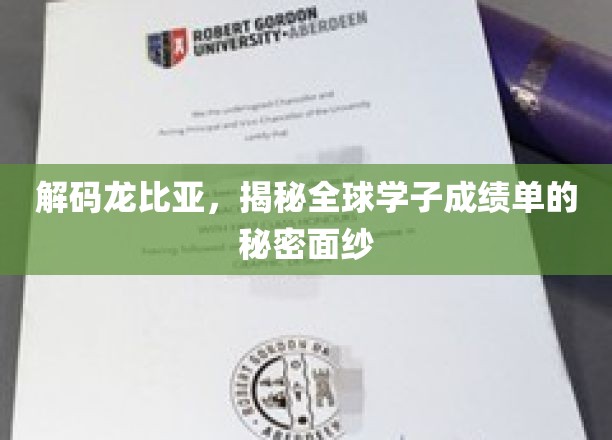 解码龙比亚，揭秘全球学子成绩单的秘密面纱