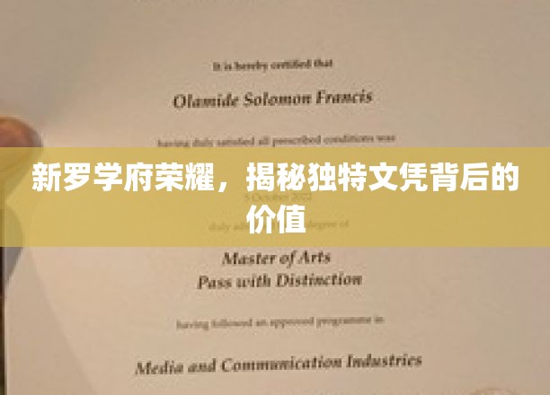 解码新罗学府荣耀，独特文凭的价值魅力