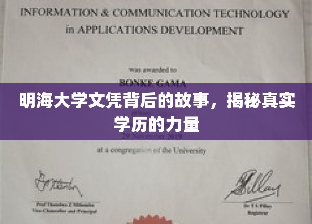 明海大学文凭背后的故事，揭秘真实学历的力量