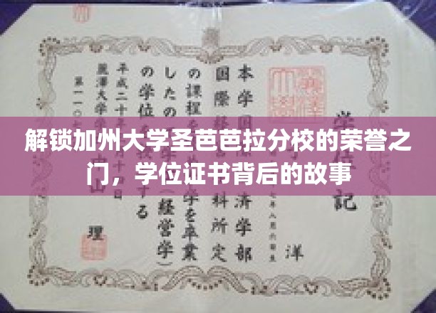 探寻加州圣芭芭拉分校荣耀证书背后的传奇之旅