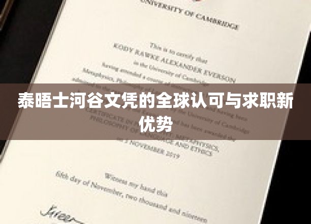 全球通行证在手，求职新篇章开启——泰晤士河谷文凭的独特魅力