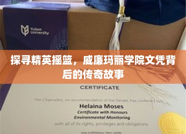 解码名校魅力，威廉玛丽学院学位的辉煌奥秘