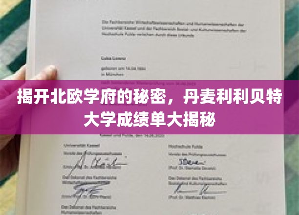 揭开北欧学府的秘密，丹麦利利贝特大学成绩单大揭秘