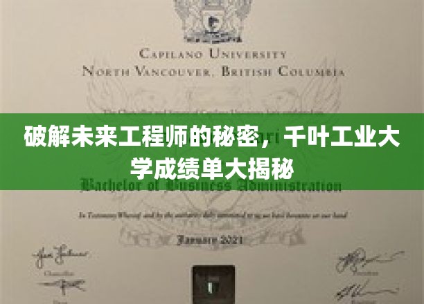 揭秘未来工程师的秘密，千叶工业大学成绩单大揭秘