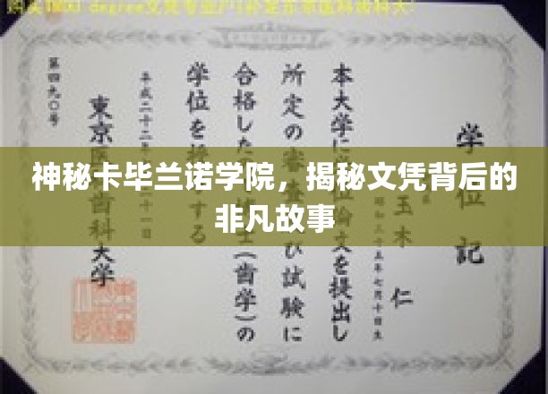 神秘卡毕兰诺学院，揭秘文凭背后的非凡故事