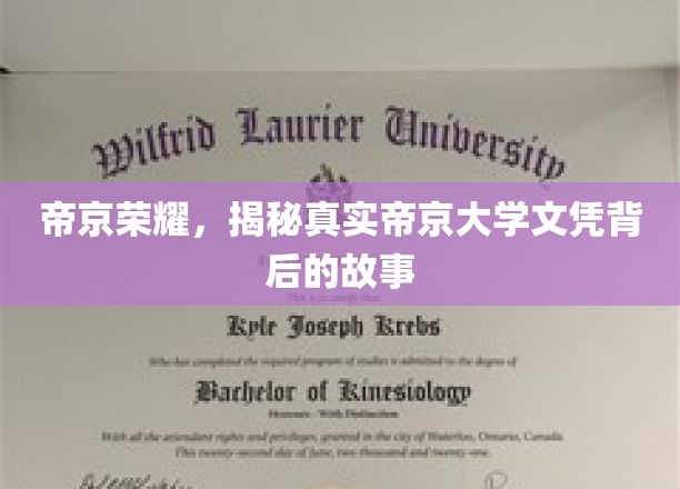帝京大学文凭之谜，揭开荣耀背后的真实面纱