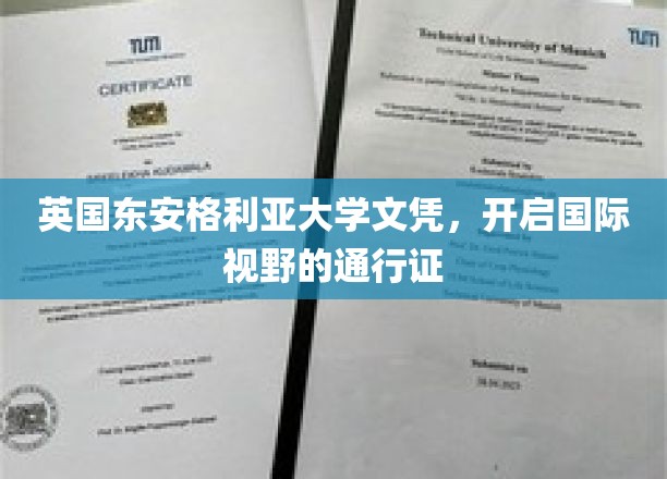 跨越国界的学术通行证，英国东安格利亚大学文凭助你拓展全球视野