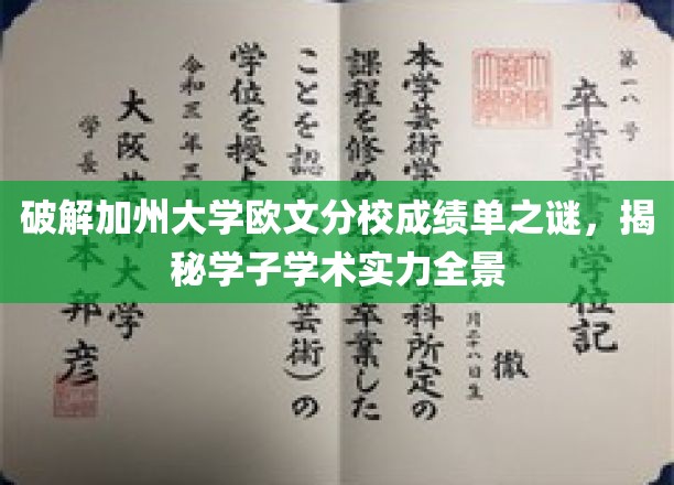 解码加州欧文学子成绩单，探秘学术实力新篇章