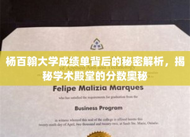 杨百翰大学成绩单揭秘，探寻顶尖学府的分数密码