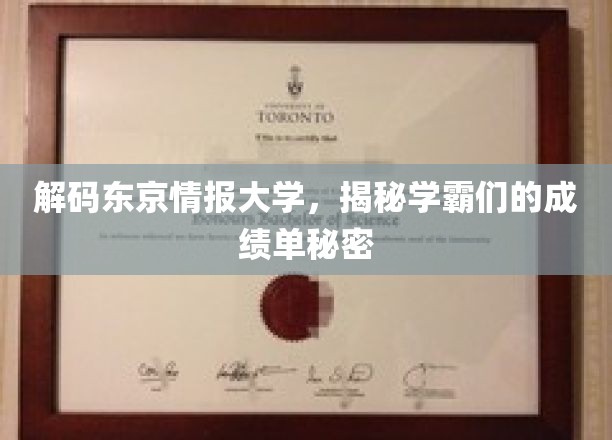 东京情报大学学霸秘籍，揭秘成绩单背后的奥秘