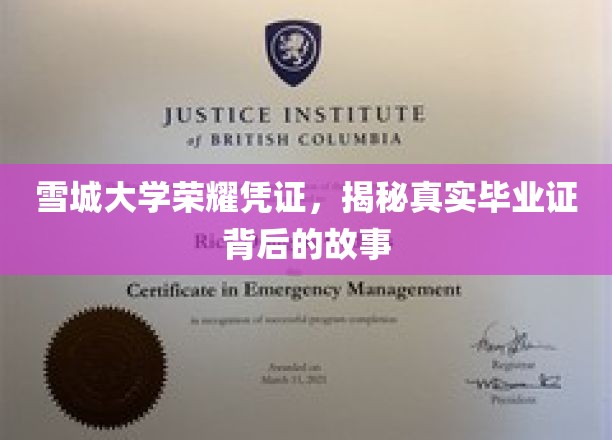 雪城大学荣耀凭证，揭秘真实毕业证背后的故事