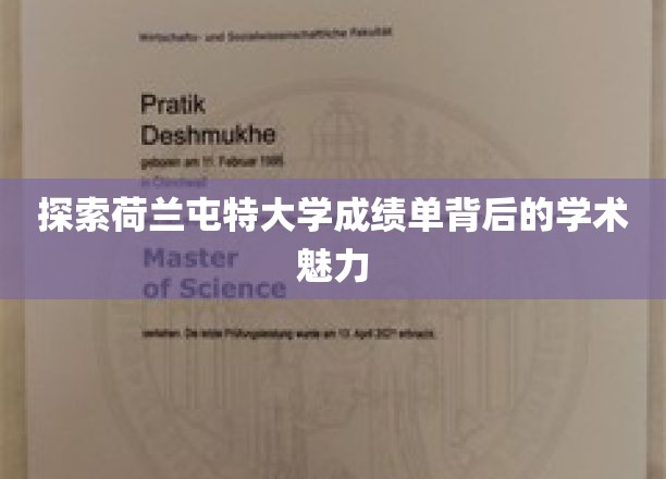 荷兰屯特大学成绩单，揭秘学术精英的非凡之路