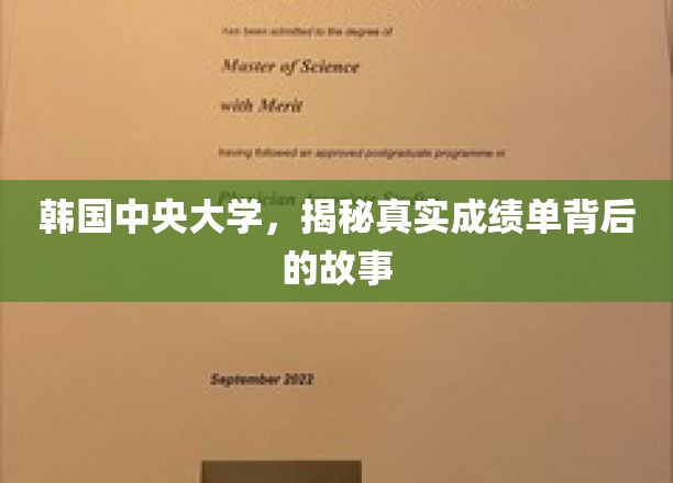 揭开韩国中央大学成绩单背后的秘密面纱