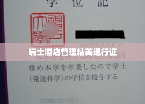 瑞士酒店业顶尖人才培养护照