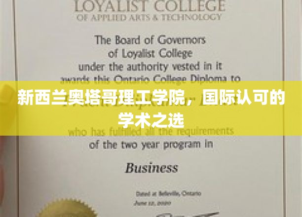 新西兰奥塔哥理工学院，国际认可的学术之选