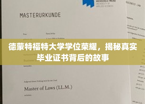 德蒙特福特大学荣耀揭秘，毕业证书背后的真实传奇