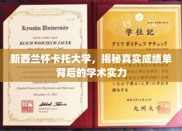 解码怀卡托大学，揭开成绩单背后的学术卓越之谜