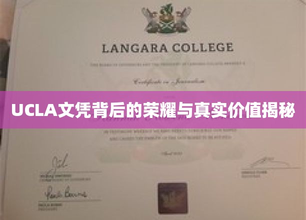 UCLA文凭背后的荣耀与真实价值揭秘