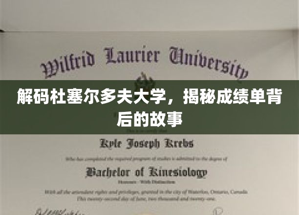 杜塞尔多夫大学揭秘，成绩单背后的学术传奇