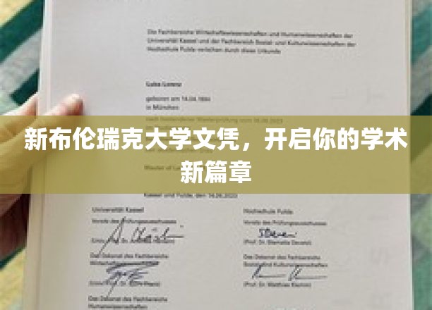 新布伦瑞克大学文凭，筑梦未来学术启航点