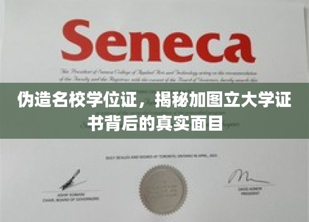 伪造学位证风波，揭秘加图立大学证书的神秘真相