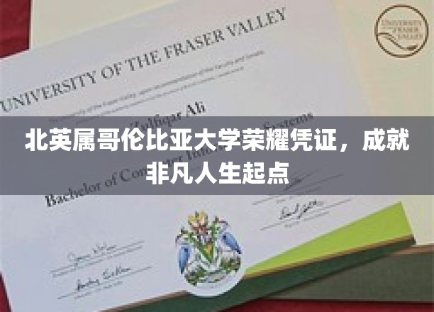 北英属哥伦比亚大学荣耀通行证，开启非凡成就之旅