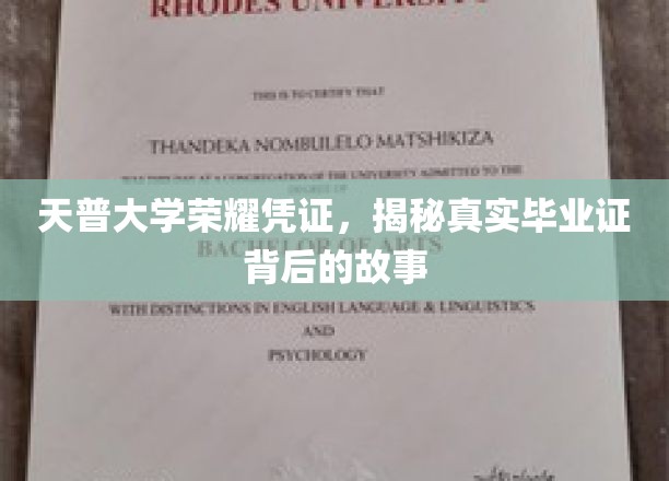 天普大学毕业证之谜，探寻荣耀凭证背后的真实故事