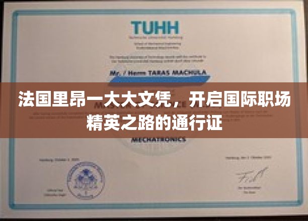 里昂大学文凭，解锁全球职场精英之门