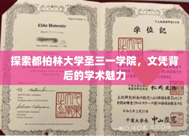 探索都柏林大学圣三一学院，文凭背后的学术魅力