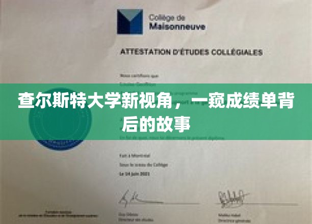 查尔斯特大学新视角，一窥成绩单背后的故事