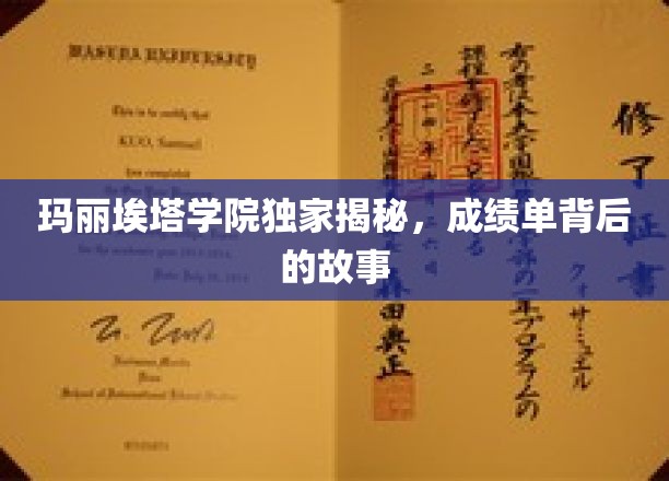 玛丽埃塔学院独家揭秘，成绩单背后的故事