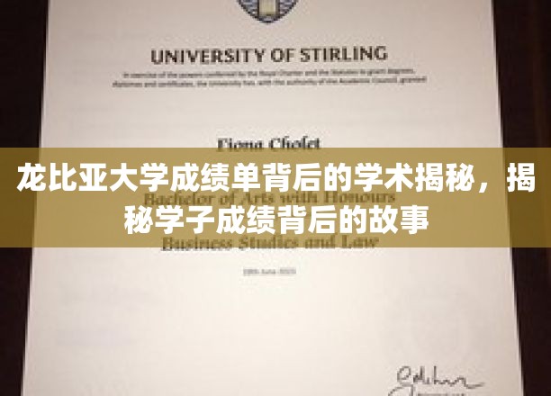 龙比亚大学成绩单揭秘学术奥秘，探寻学子成绩背后的故事