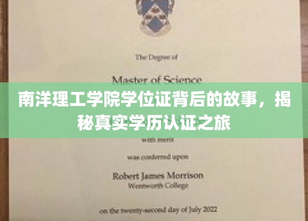 南洋理工学院学位证书背后的故事，揭秘真实学历认证之旅