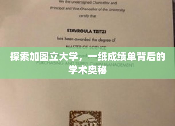 探索加图立大学，一纸成绩单背后的学术奥秘