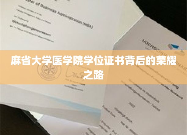 麻省大学医学院学位证书背后的荣耀之路