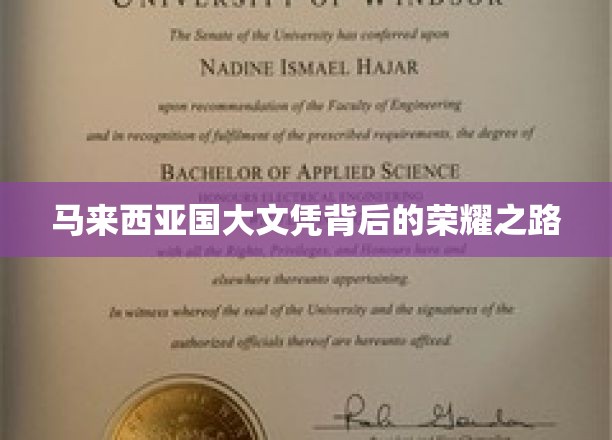 探寻马来西亚国大文凭背后的璀璨历程