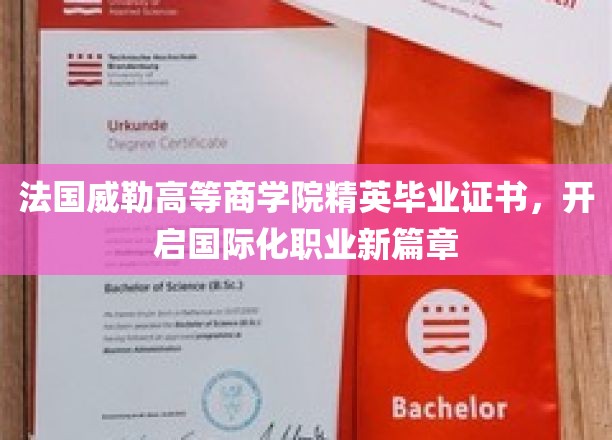 法国威勒精英毕业证，助你迈入国际职场新境界