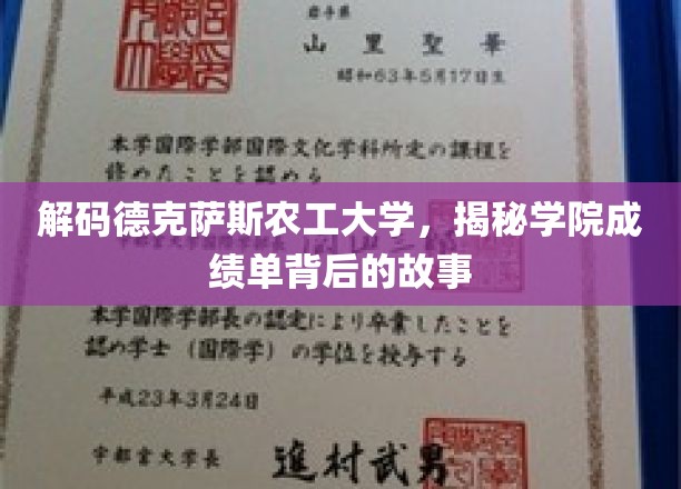 探索德克萨斯农工大学，揭秘成就背后的神秘面纱