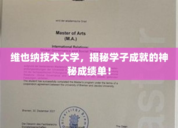 揭开维也纳技术大学学子卓越成就的神秘面纱