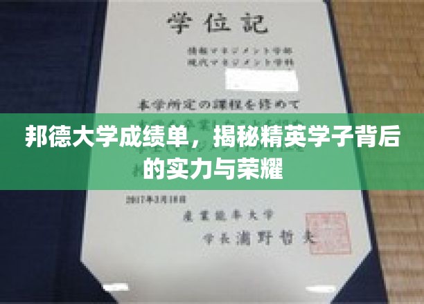 邦德精英，揭开成绩单背后的荣耀之路