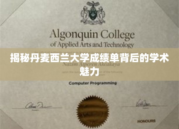 解锁丹麦西兰大学成绩单中的学术风采