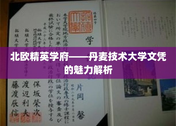 解锁北欧教育金钥匙，揭秘丹麦技术大学文凭的独特价值