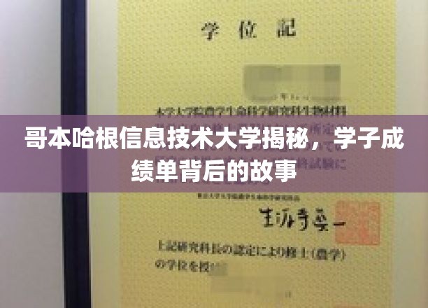 解码哥本哈根信息技术大学，学子成绩单背后的真实面貌