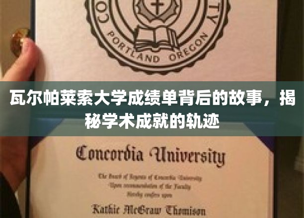 瓦尔帕莱索大学成绩单，探寻学子成就背后的秘密轨迹