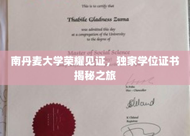 揭开南丹麦大学荣耀之门，独家学位证书探秘之旅