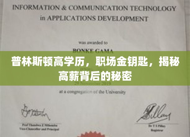 普林斯顿高学历，职场金钥匙，揭秘高薪背后的秘密