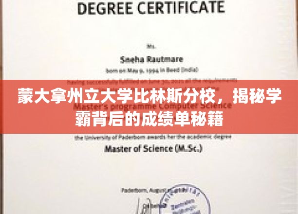 揭秘蒙大拿州立大学学霸高分秘籍，比林斯分校独门学习之道